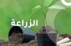 ورش الزراعة